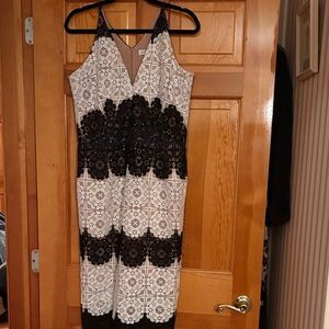 Tadashi Shoji Black and White Lace Midi Dress